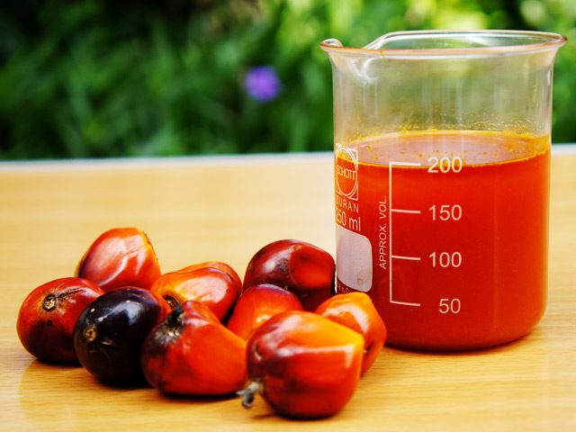 CRUDE PALM OIL (CPO)