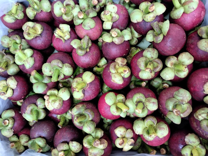 Mangosteen