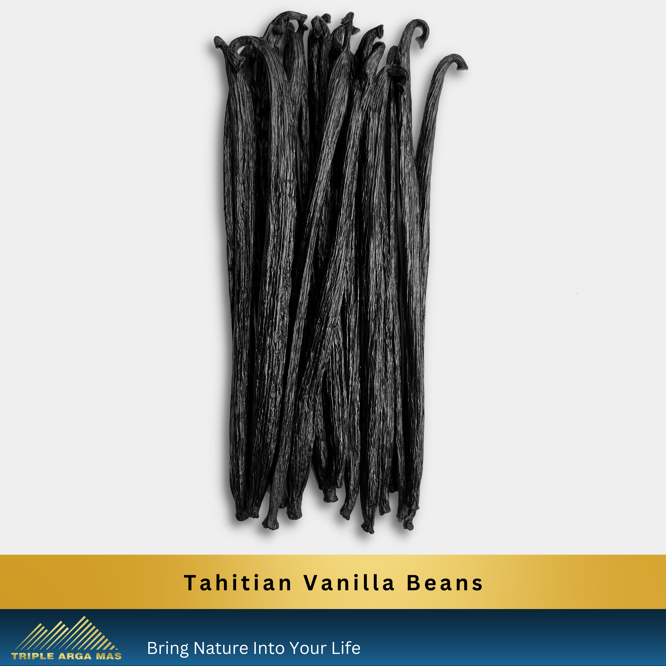 Vanilla Beans Tahitian Gourmet