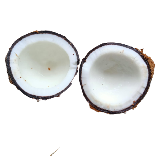 Coconut Semi Husked