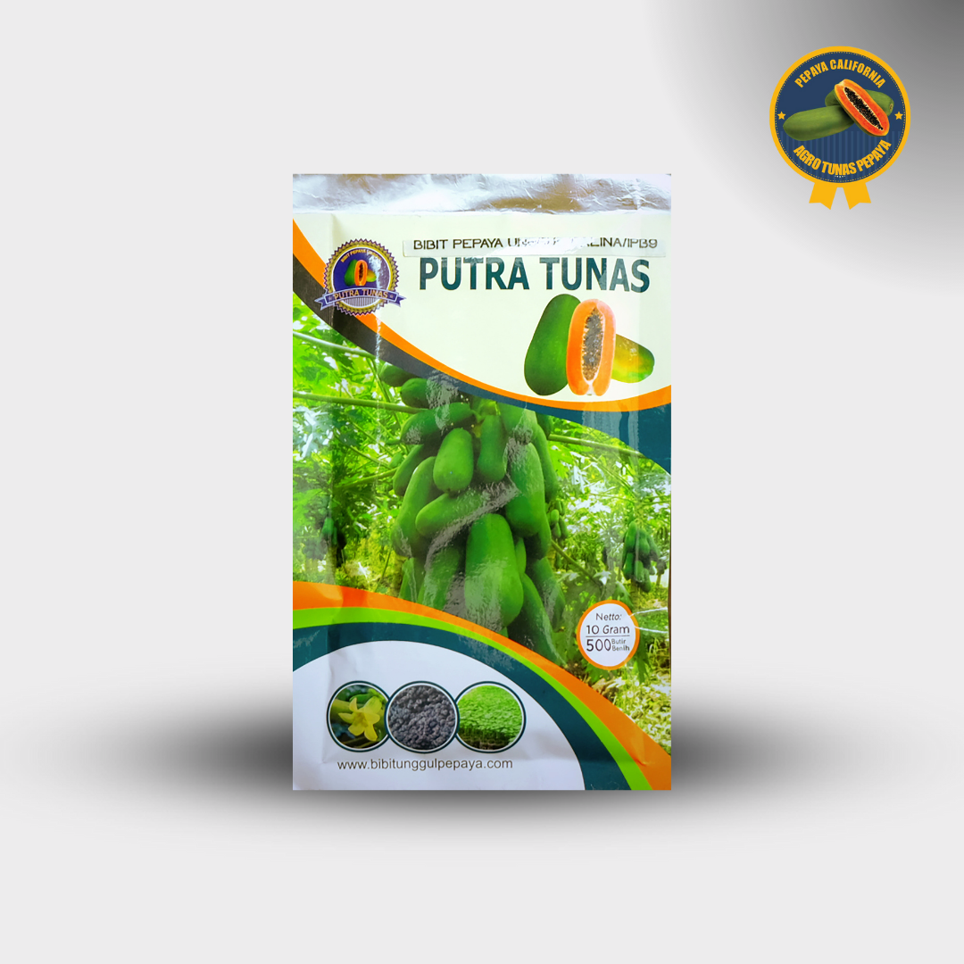 Seeds Papaya California