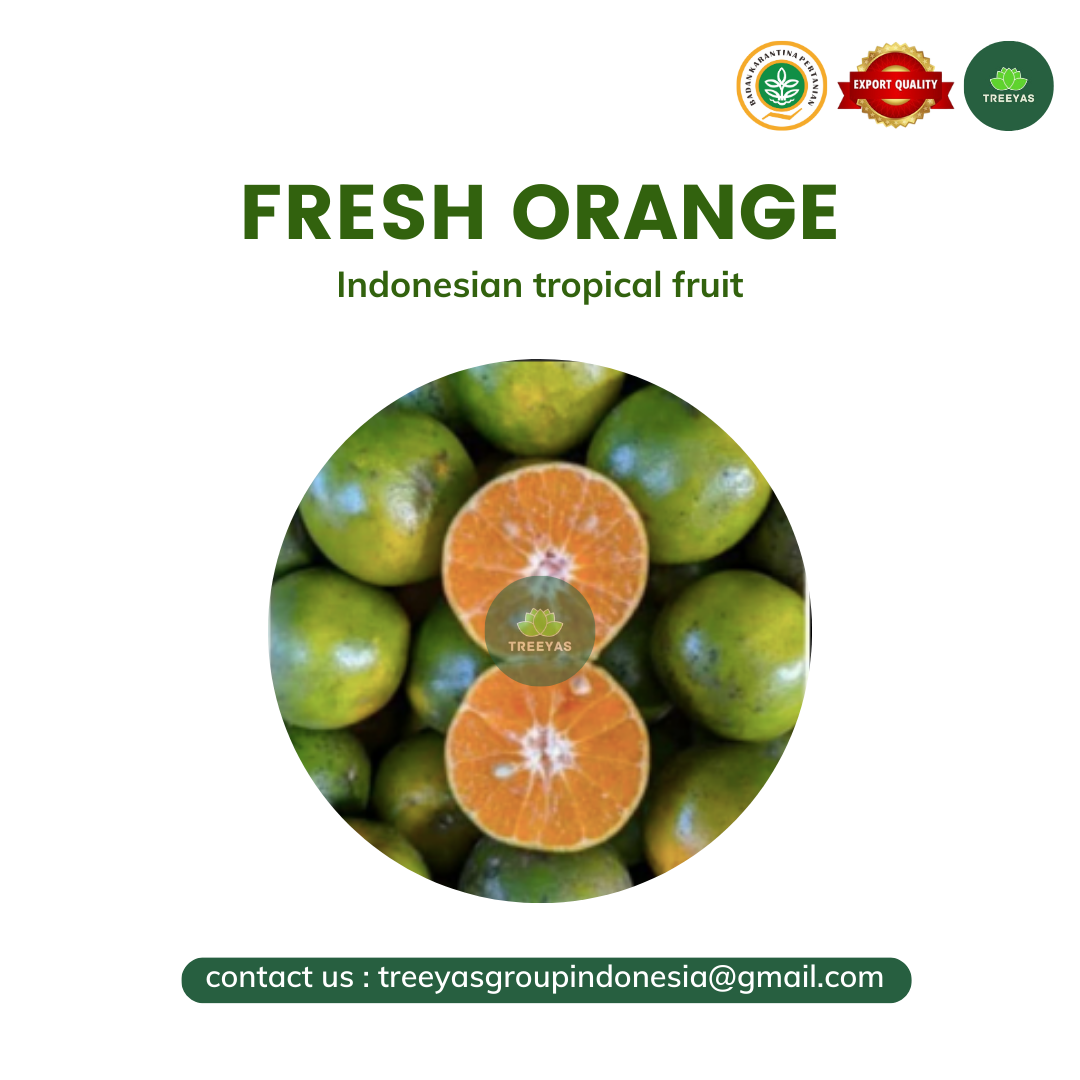 orange fruit indonesia