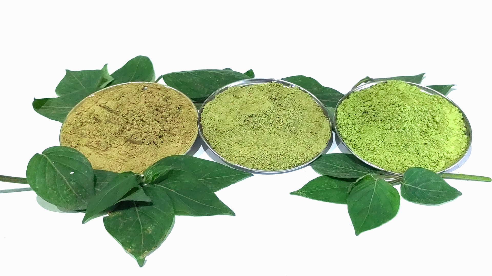 White Borneo Kratom Nano Powder
