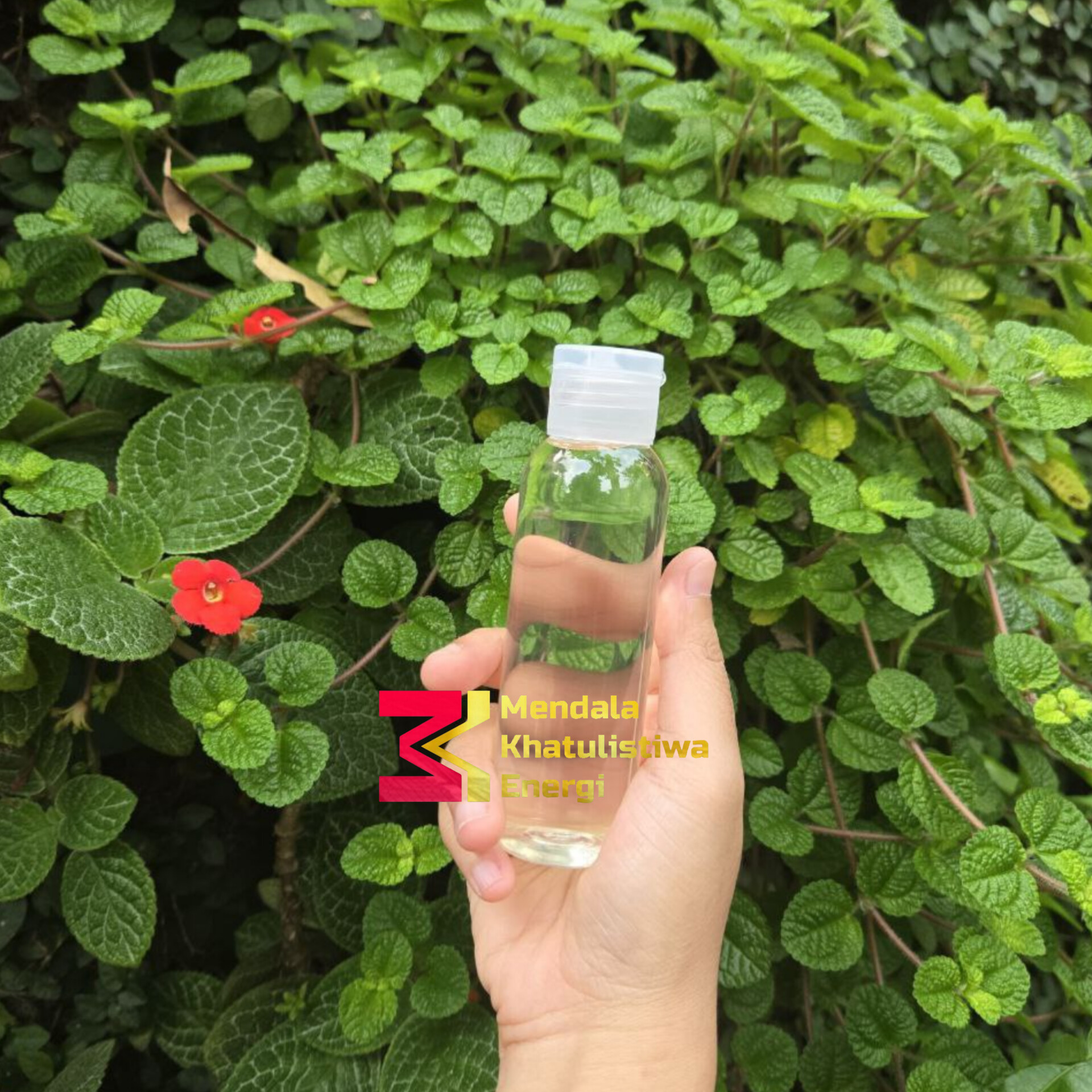 SUTRA OIL - Virgin Coconut Oil