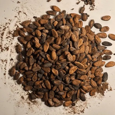 Cocoa Beans - Non Fermentation