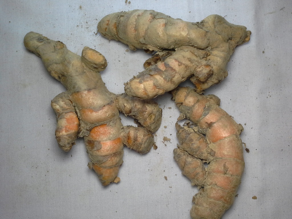 Tumeric